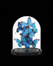 Currey 1200-0896 - Rue de Bac Blue Medium Butterflies